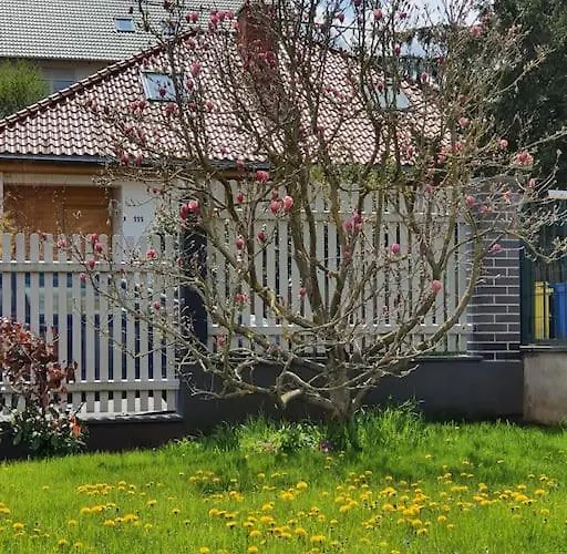 Ruhige Einliegerwohnung+terrasse